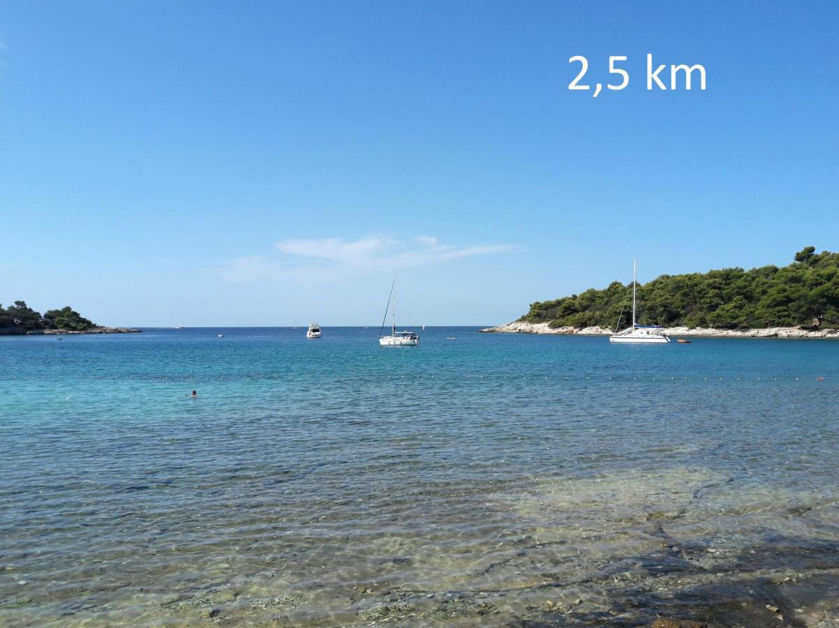 Evergreen Apartma