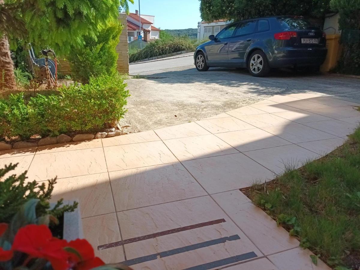 Apartma Evergreen *